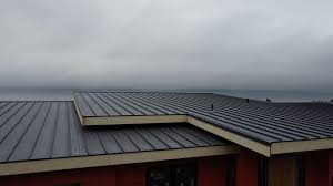 Best Roof Coating and Sealing  in Atlanta, IL